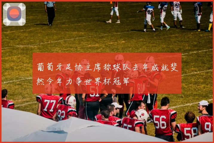 葡萄牙足协主席称球队去年成就斐然今年力争世界杯冠军