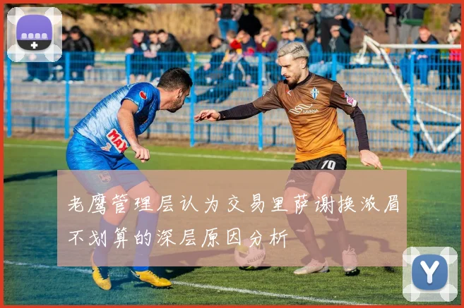 老鹰管理层认为交易里萨谢换浓眉不划算的深层原因分析